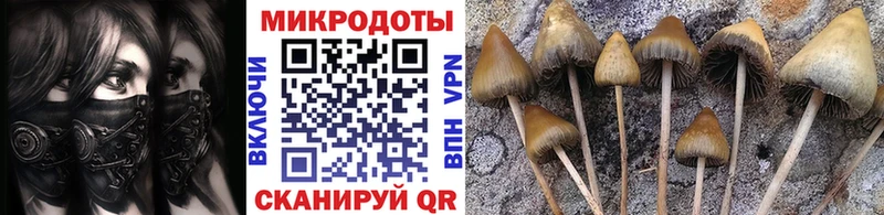 Псилоцибиновые грибы Magic Shrooms  Райчихинск 